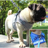 Adjustable Reflective Dog Vest