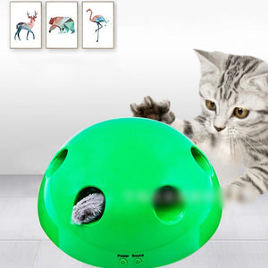 Electric Pet Cat Traning Toy